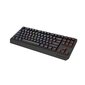 Genesis Thor 230 TKL (NKG-2106) hind ja info | Klaviatuurid | hansapost.ee