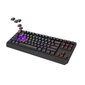 Genesis Thor 230 TKL (NKG-2106) hind ja info | Klaviatuurid | hansapost.ee