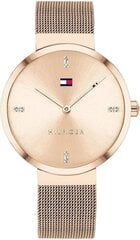 Tommy Hilfiger Watch 1782218 цена и информация | Женские часы | hansapost.ee