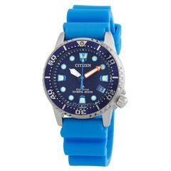 Citizen Eco-Drive EO2028-06L EO2028-06L цена и информация | Женские часы | hansapost.ee