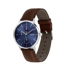 Мужские кварцевые часы Hugo Boss 1530201 цена и информация | Мужские часы | hansapost.ee