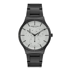 Мужские часы Kenneth Cole KC50056001 цена и информация | Мужские часы | hansapost.ee