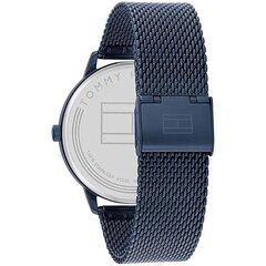 Мужские часы Tommy Hilfiger 1791841 12141470 цена и информация | Мужские часы | hansapost.ee