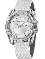 Мужские часы Calvin Klein Earth Leather / Nylon Silver цена и информация | Мужские часы | hansapost.ee