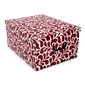 Pappkarp 49x39x25 cm, Big Box Goccia assortii: sinine/helehall/bordoo цена и информация | Hoiukastid ja korvid | hansapost.ee