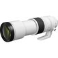 Canon RF 200-800mm f/6.3-9 IS USM hind ja info | Fotoaparaatide objektiivid | hansapost.ee