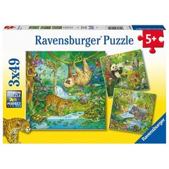 Pusle Ravensburger Džungli lõbu, 3x49 tk hind ja info | Pusled lastele ja täiskasvanutele | hansapost.ee