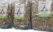 Toit rottidele Alegia Alegia Natural Line, 2,5 kg цена и информация | Toit väikeloomadele | hansapost.ee