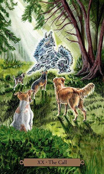 Taro kaardid Magical Dogs Tarot hind ja info | Esoteerika | hansapost.ee