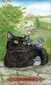 Taro kaardid Mystical Cats Tarot hind ja info | Esoteerika | hansapost.ee