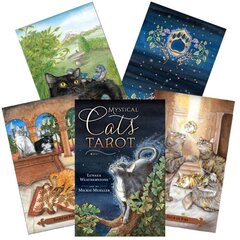 Карты Таро Mystical Cats Tarot цена и информация | Эзотерика | hansapost.ee