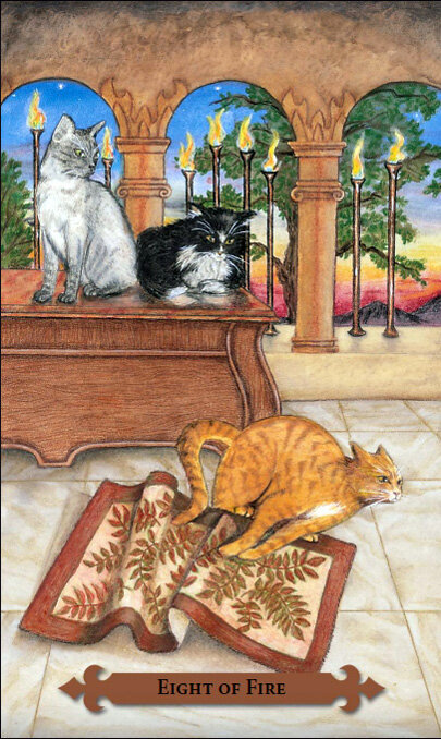 Taro kaardid Mystical Cats Tarot hind ja info | Esoteerika | hansapost.ee