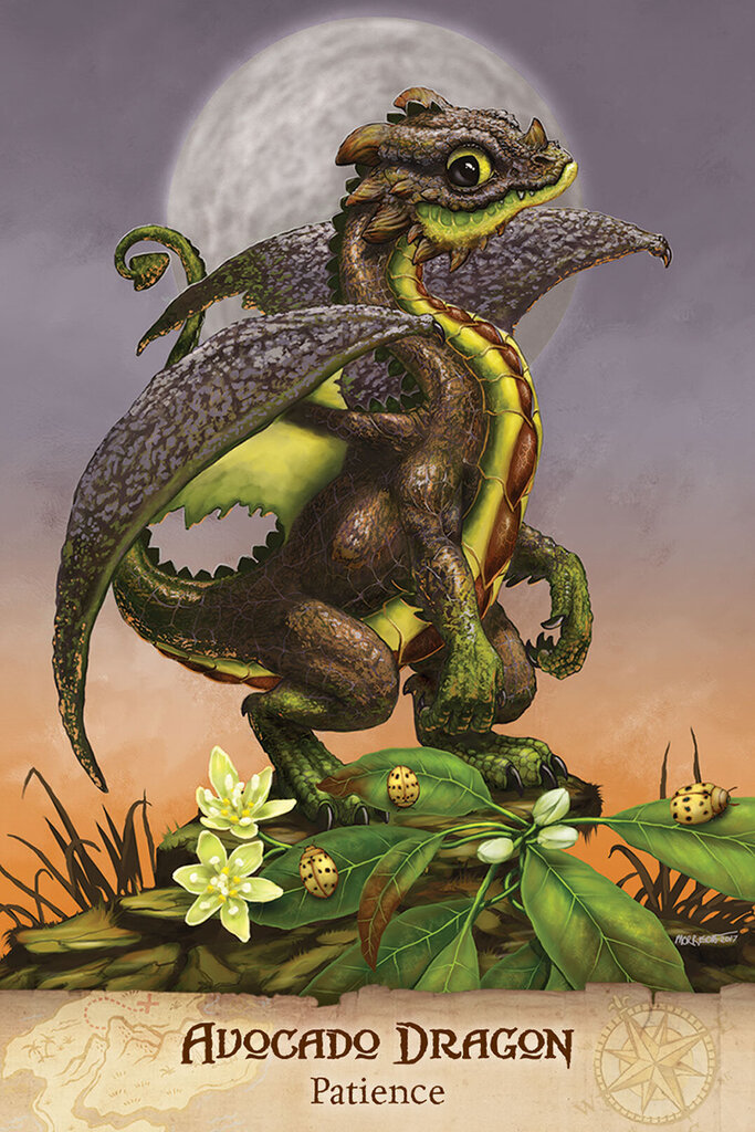 Taro kaardid Field Guide To garden Dragons hind ja info | Esoteerika | hansapost.ee