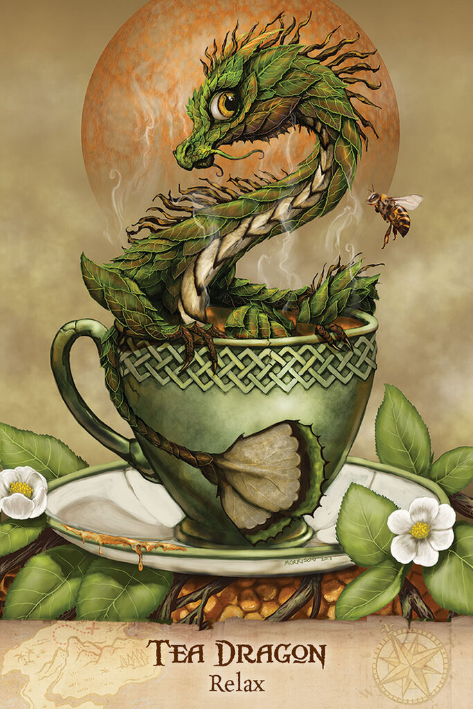 Taro kaardid Field Guide To garden Dragons hind ja info | Esoteerika | hansapost.ee