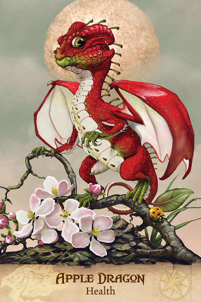 Taro kaardid Field Guide To garden Dragons hind ja info | Esoteerika | hansapost.ee