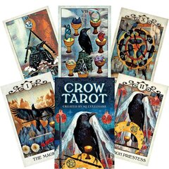 Taro kaardid Crow hind ja info | Esoteerika | hansapost.ee