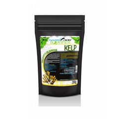 Toidulisand koertele Game Dog Barfer Kelp, 200 g hind ja info | Vitamiinid ja parasiiditõrje | hansapost.ee