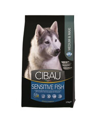 Cibau Sensitive keskmist ja suurt tõugu koertele koos kaladega, 2,5 kg цена и информация | Сухой корм для собак | hansapost.ee