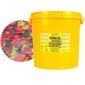 Tropical Ichtio-Vit 21L - 4kg kalatoit hind ja info | Kalade toit | hansapost.ee