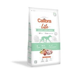 Calibra Dog Life для молодых щенков крупных пород с курицей, 2,5 кг цена и информация | Сухой корм для собак | hansapost.ee