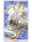 Taro kaardid Shadowscapes hind ja info | Esoteerika | hansapost.ee