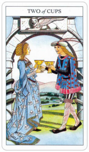 Taro kaardid ja raamat Beginner's Guide To Tarot hind ja info | Esoteerika | hansapost.ee