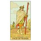 Taro kaardid After Tarot Kit hind ja info | Esoteerika | hansapost.ee