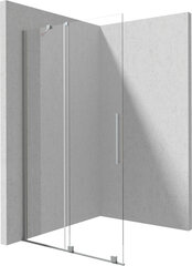 Walk-in lükand dušisein Deante Prizma, Brushed steel, 100x195 cm hind ja info | Dušiseinad ja dušiuksed | hansapost.ee