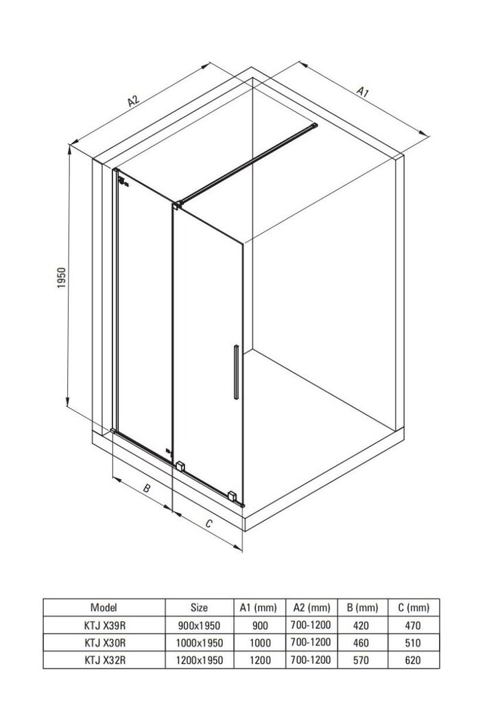 Walk-in lükand dušisein Deante Prizma, Brushed steel, 100x195 cm hind ja info | Dušiseinad ja dušiuksed | hansapost.ee