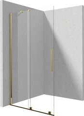 Walk-in dušisein Deante Prizma, Gold, 100x195 cm price and information | Shower walls and shower doors | hansapost.ee