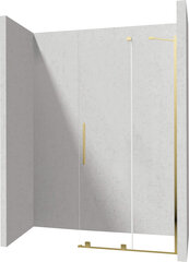 Walk-in dušisein Deante Prizma, Gold, 100x195 cm price and information | Shower walls and shower doors | hansapost.ee