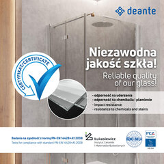 Walk-in dušisein Deante Prizma, Gold, 80x195 cm price and information | Shower walls and shower doors | hansapost.ee