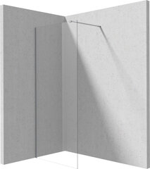 Walk-in dušisein Deante Prizma, Brushed steel, 80x195 cm цена и информация | Душевые двери и стены | hansapost.ee