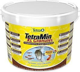 Toit kaladele Tetra TetraMin Xl Granules, 3900 g price and information | Kalade toit | hansapost.ee