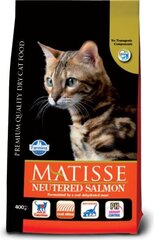 Farmina Pet Foods Matisse с лососем, 1,5 кг цена и информация | Сухой корм для кошек | hansapost.ee