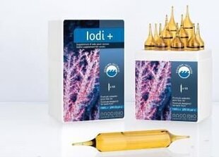 Akvaariumi ampullid Prodibio Iodi+ Pro, 10 tk. price and information | Akvaariumid ja lisatarvikud | hansapost.ee