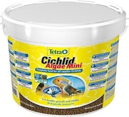 Toit kaladele Tetra Cichlid Algae Mini, 3900 g hind ja info | Kalade toit | hansapost.ee