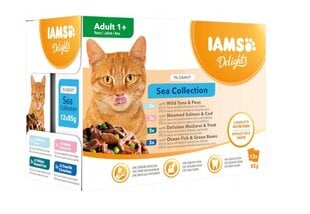 Iams Cat Delights Adult All Breeds Sea In Jelly Pouch, 12x85 гр цена и информация | Кошачьи консервы | hansapost.ee