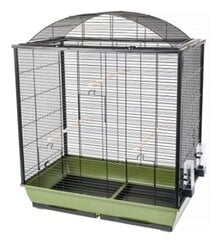 Puur närilistele Interzoo Nicola, 78 cm price and information | Cages and accessories for small animals | hansapost.ee