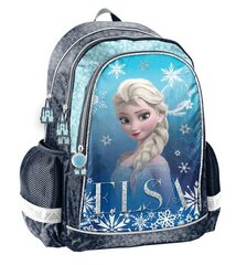 Школьный рюкзак Paso Disney Frozen, DF24RR-081 цена и информация | Школьные рюкзаки, спортивные сумки | hansapost.ee