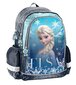 Koolikott Paso Disney Frozen, DF24RR-081 hind ja info | Koolikotid ja seljakotid | hansapost.ee