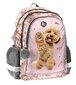 Kooli seljakott Paso Poodle, PP24PU-081 hind ja info | Koolikotid ja seljakotid | hansapost.ee