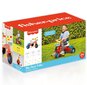 DOLU Fisher Price minu esimene kolmerattaline jalgratas 18137 цена и информация | Kolmerattalised jalgrattad lastele | hansapost.ee