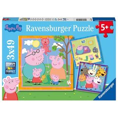 Пазл Ravensburger 3х49 деталей, свинка Пеппа цена и информация | Пазлы | hansapost.ee