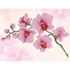 Teemantmosaiik Orcid spray, 27X37 cm price and information | Diamond painting kits | hansapost.ee