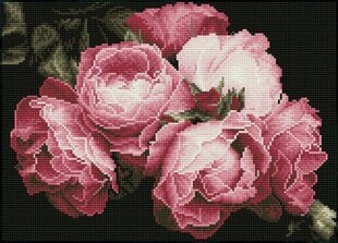 Teemantmosaiik Vintage roses 43x31 cm price and information | Diamond painting kits | hansapost.ee