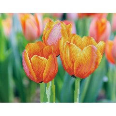 Teemantmosaiik Love Tulips, 27x35 cm hind ja info | Teemantmaalide komplektid | hansapost.ee