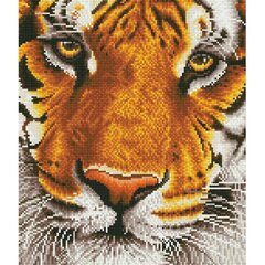 Teemantmosaiik tiiger, 42x36cm price and information | Diamond painting kits | hansapost.ee