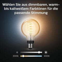 Philips Hue Valge hõõglamp G93 E27 hind ja info | Lambipirnid ja LED-pirnid | hansapost.ee