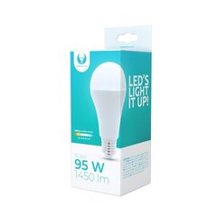 LED bulb E27 A65 15W 230V 3000K 1450lm Forever Light цена и информация | Электрические лампы | hansapost.ee